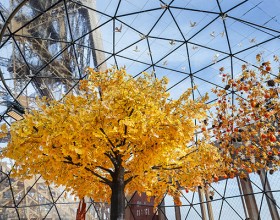 Photo of the 2025 Autumn Terrace