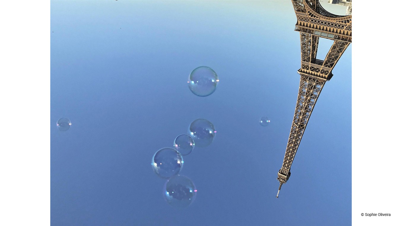 Photo contest winner 7