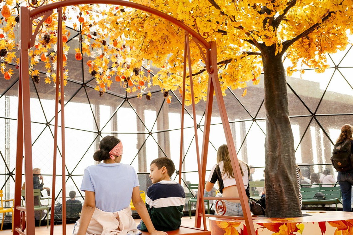 Photo of the 2025 Autumn Terrace 
